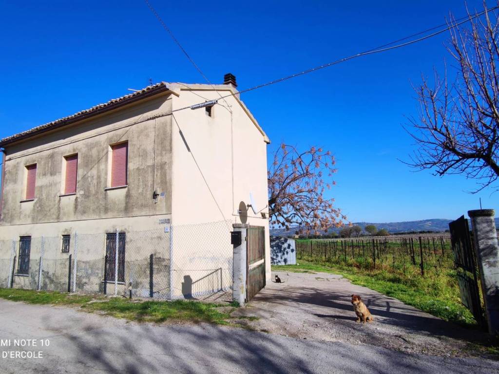 Rustico / casale a Scerni in Contrada Cipressi - Foto 4