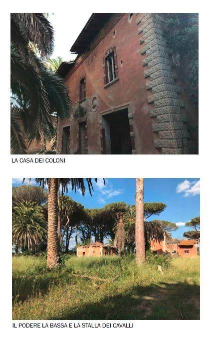 Immobile a Castagneto carducci in via località sant'uberto bolgheri, 1 - Foto 4