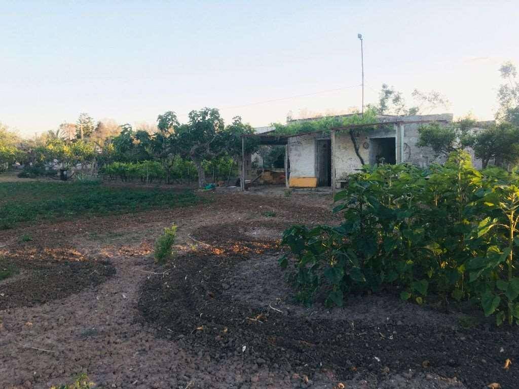 Appartamento a Cutrofiano - Foto 2