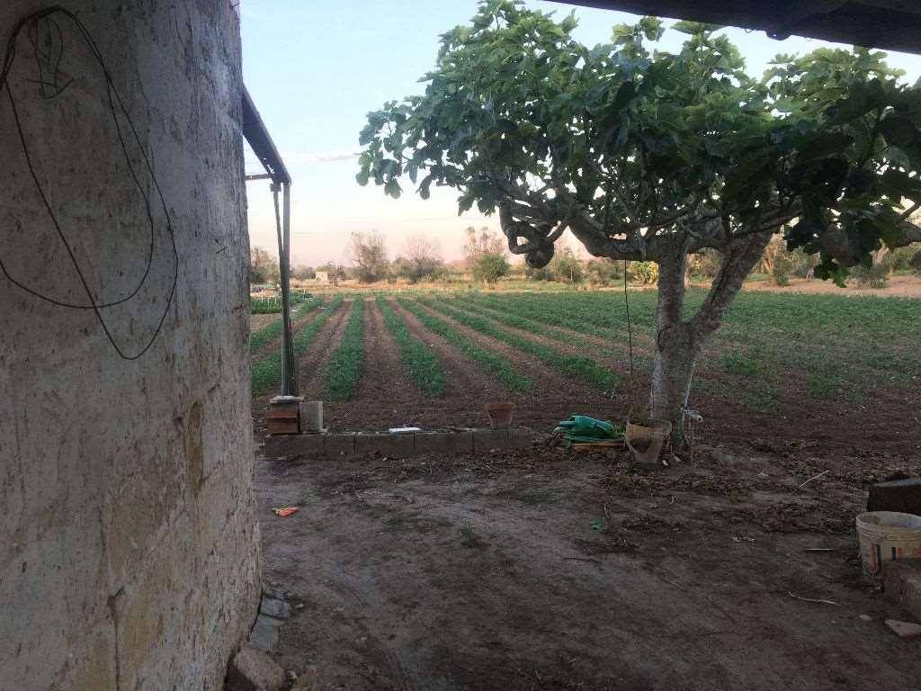 Appartamento a Cutrofiano - Foto 5