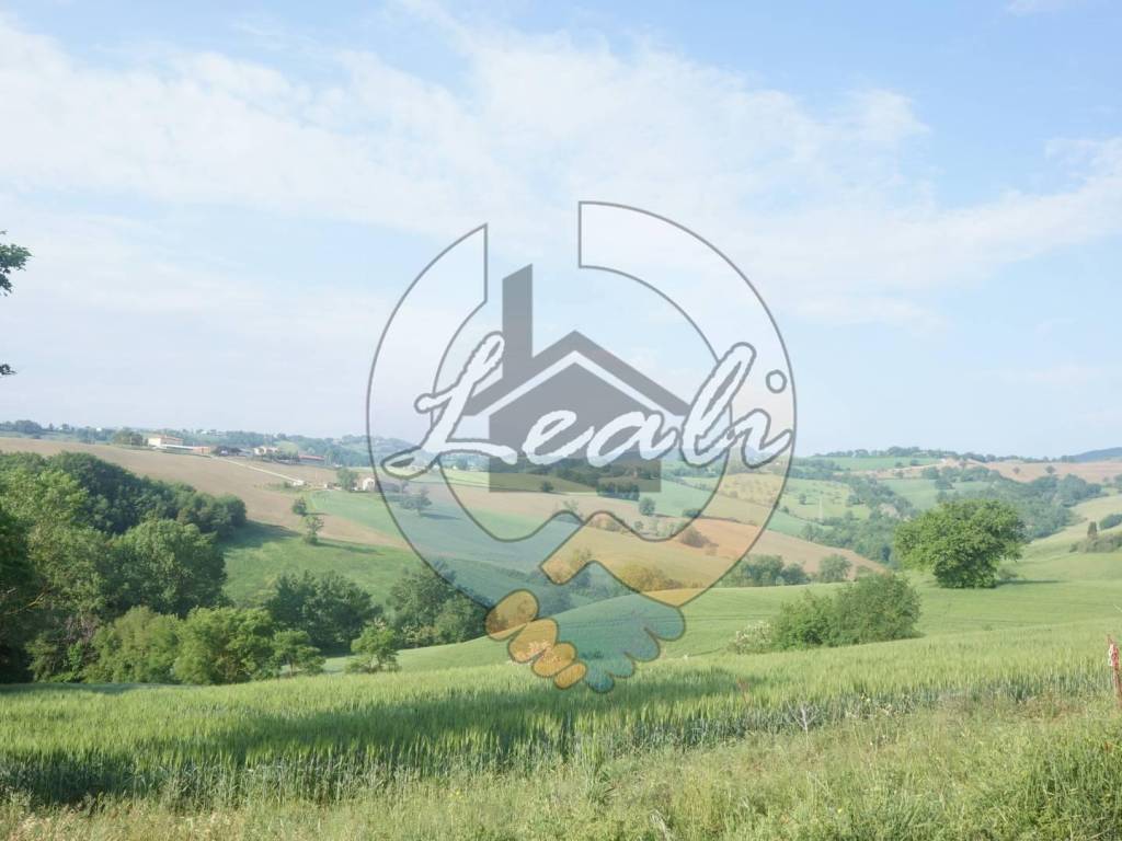 Terreno a San severino marche in C.da Malerba - Foto 4