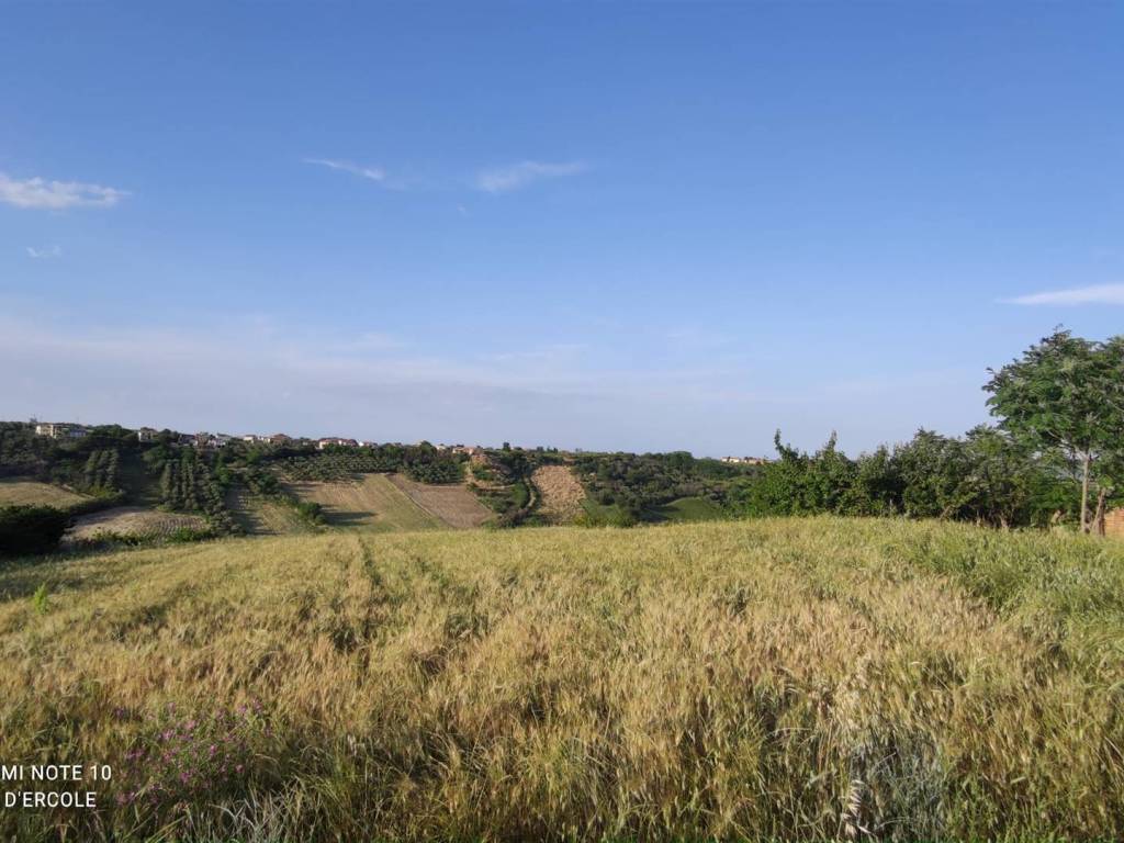 Terreno a Scerni - Foto 2