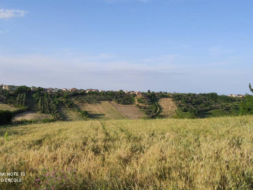 Terreno a Scerni - Foto 3