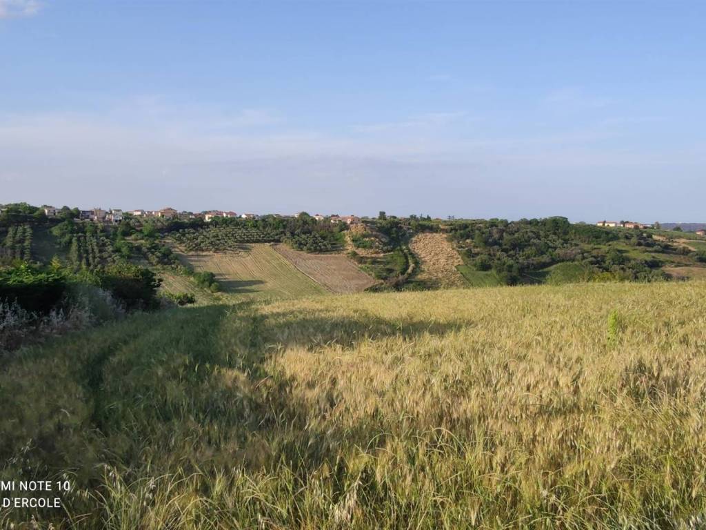 Terreno a Scerni - Foto 4