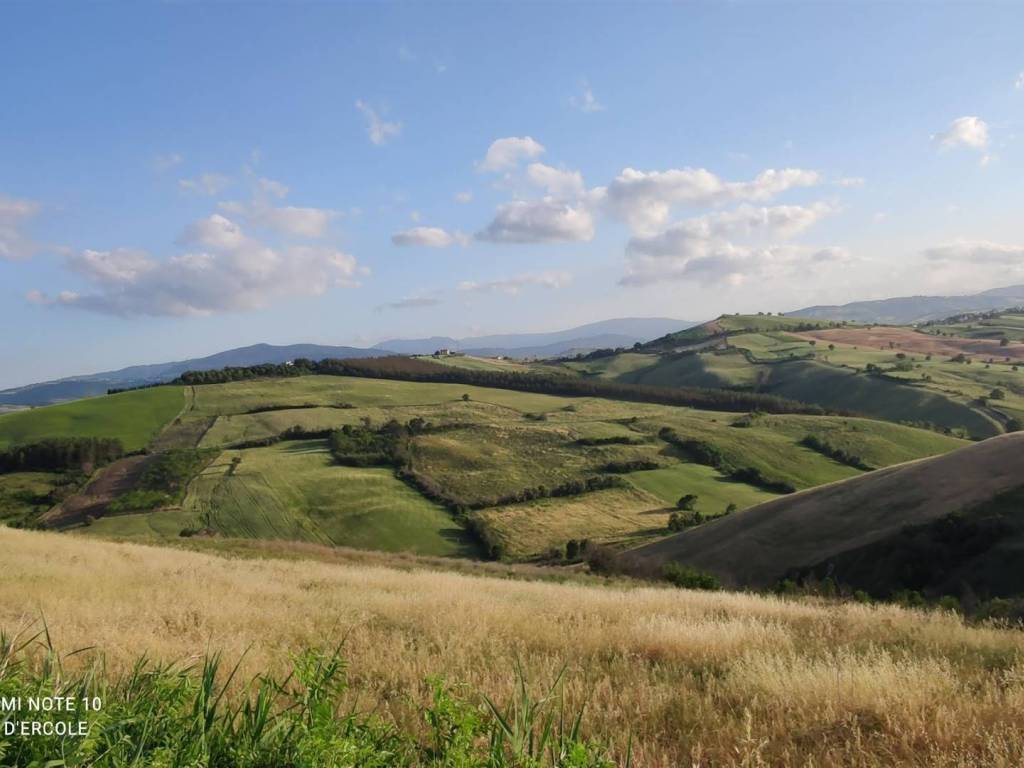 Terreno a Scerni - Foto 5