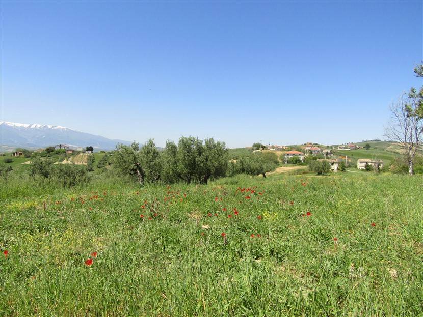 Terreno a Castel frentano in Strada Comunale Campitelli - Foto 2