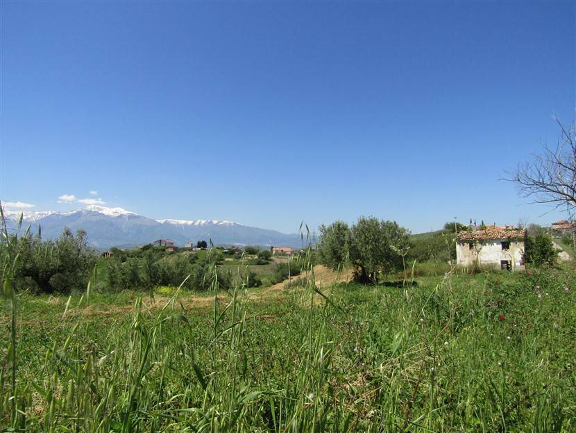 Terreno a Castel frentano in Strada Comunale Campitelli - Foto 3