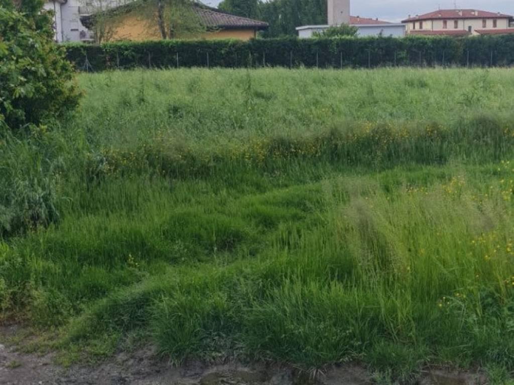 Terreno a Cento - Foto 4