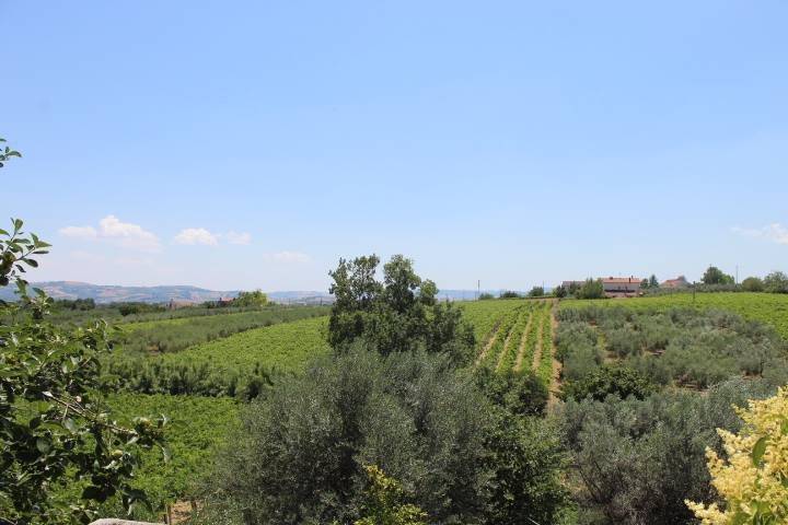 Rustico / casale a Scerni - Foto 4