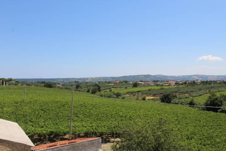 Rustico / casale a Scerni - Foto 5