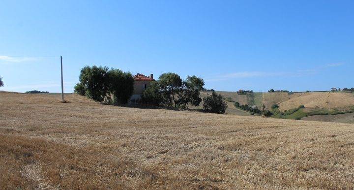 Rustico / casale a Gissi - Foto 2