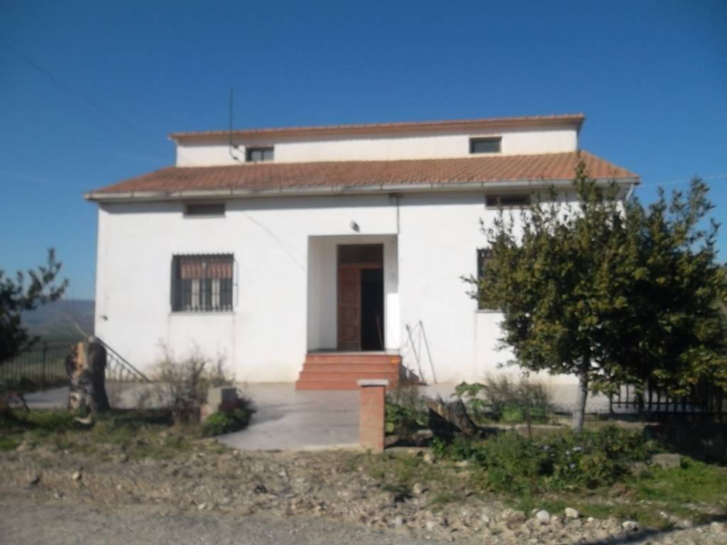 Casa indipendente a Scerni - Foto 2