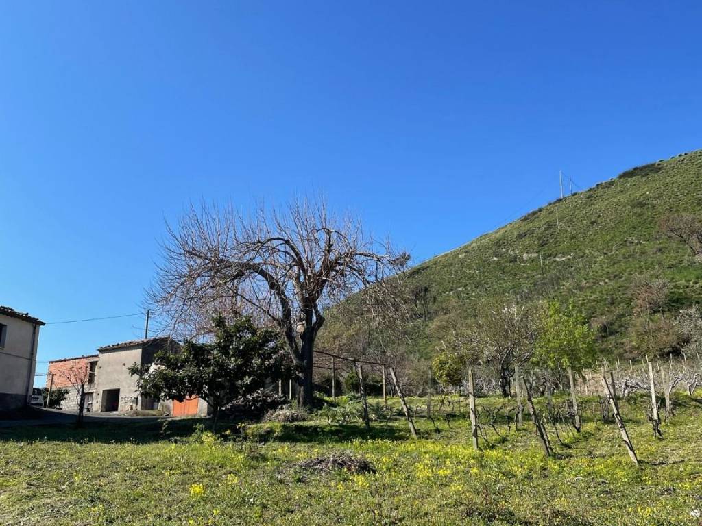 Villa a Amantea in Contrada Gallo - Foto 2