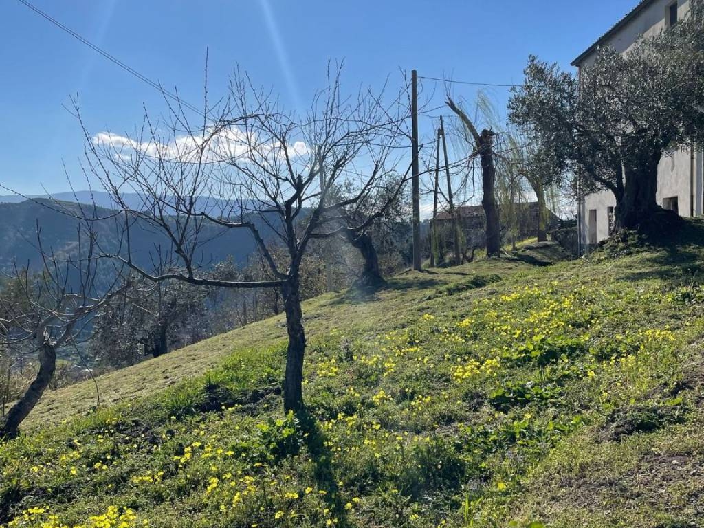 Villa a Amantea in Contrada Gallo - Foto 3