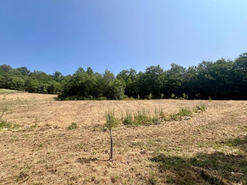 Terreno a Todi - Foto 2