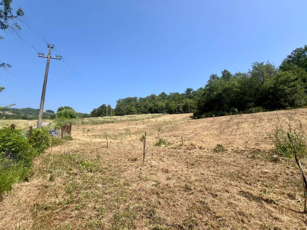 Terreno a Todi - Foto 3