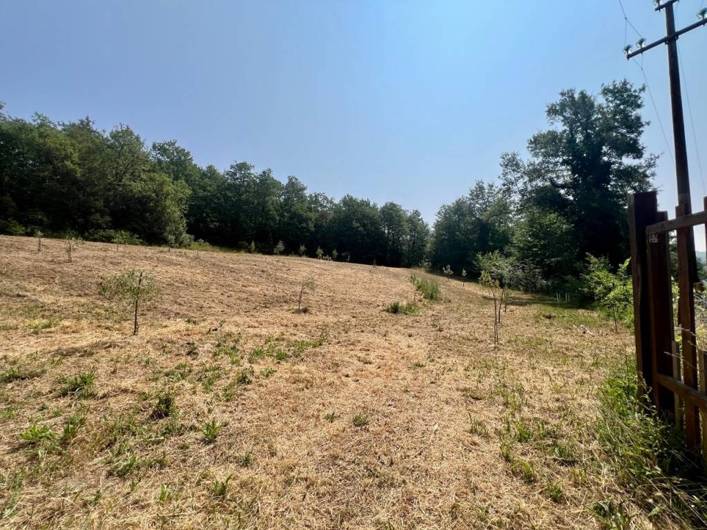 Terreno a Todi - Foto 4