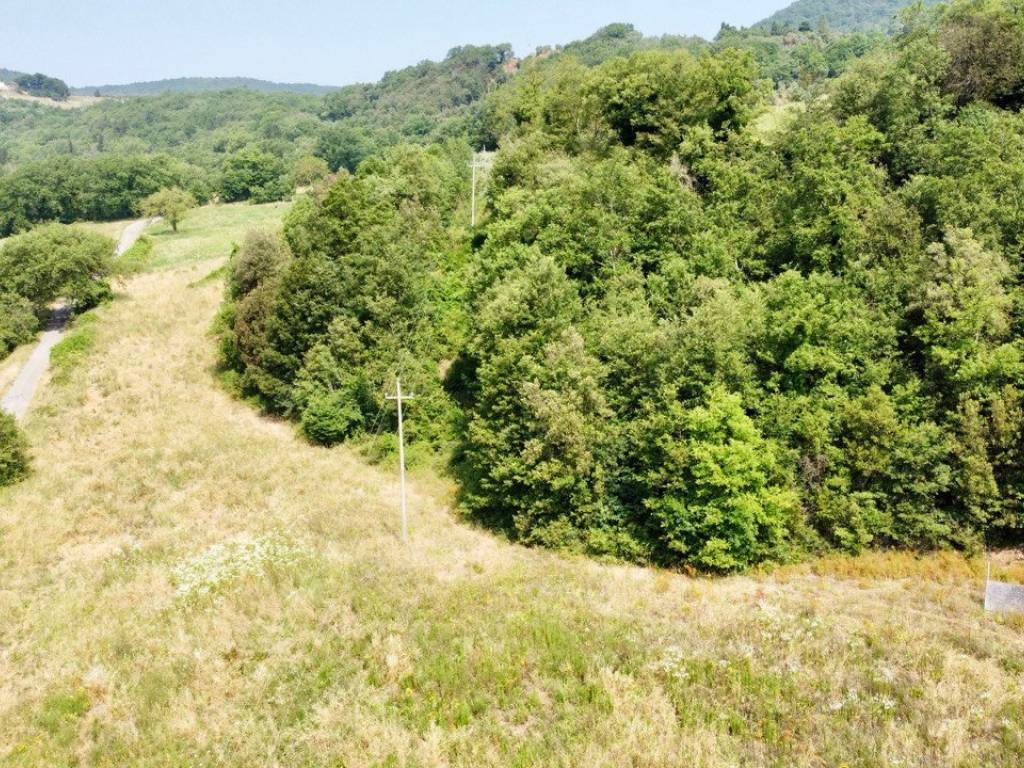Terreno a Todi - Foto 5