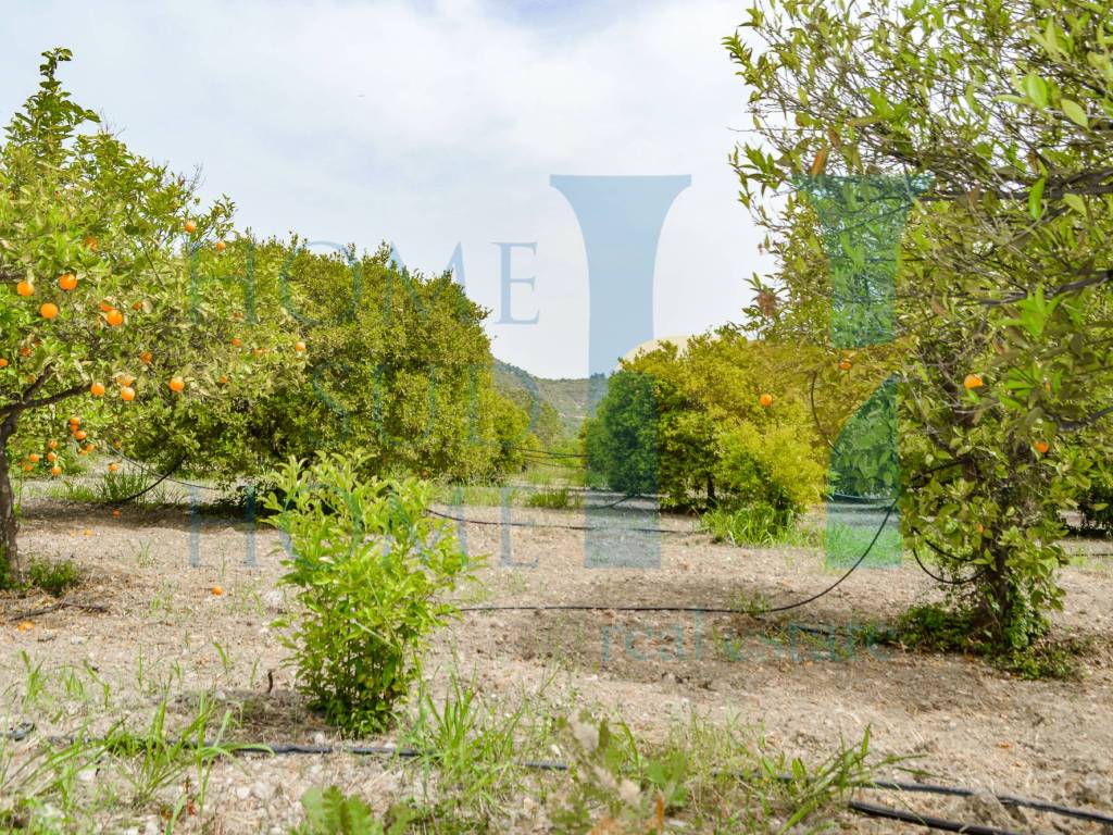 Rustico / casale a Noto - Foto 5