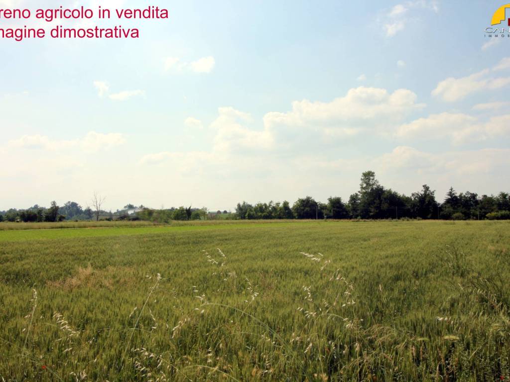Terreno a Mondovì in Corso Italia - Foto 2