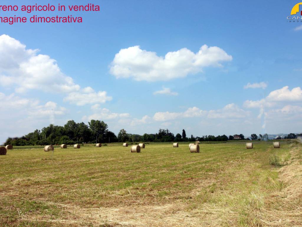 Terreno a Mondovì in Corso Italia - Foto 3