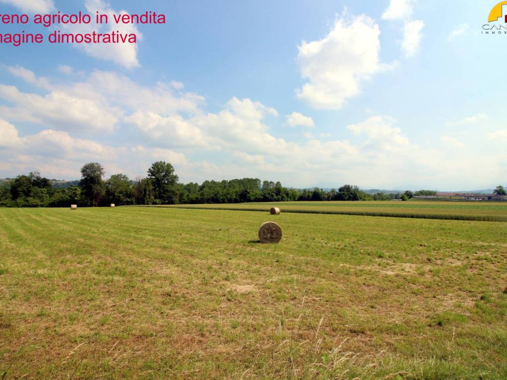 Terreno a Mondovì in Corso Italia - Foto 4