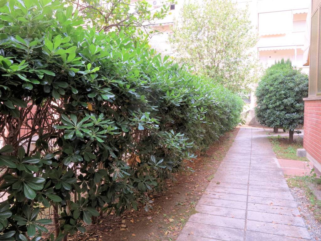 Appartamento a Follonica in cassarello - Foto 4