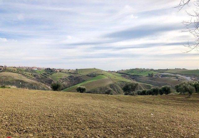 Terreno a Mosciano sant'angelo in contrada Collepietro - Foto 4