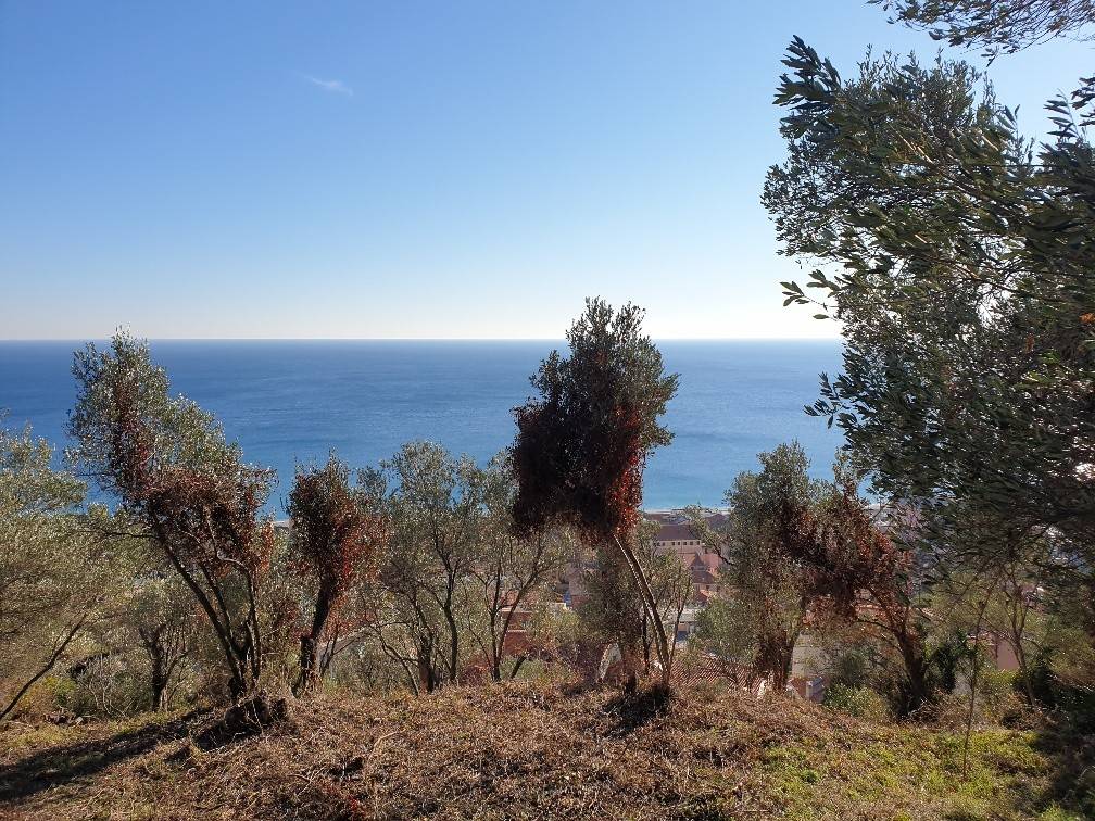 Terreno a Finale ligure in Via del Belvedere - Foto 2