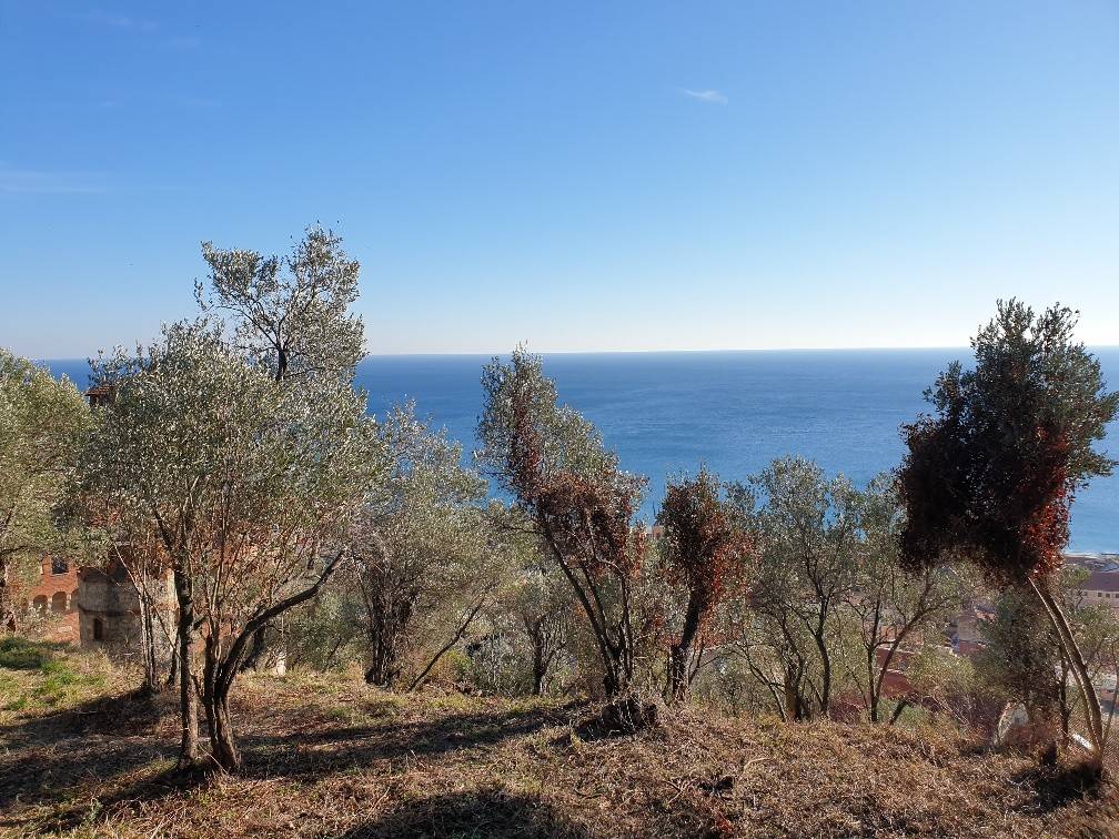 Terreno a Finale ligure in Via del Belvedere - Foto 3