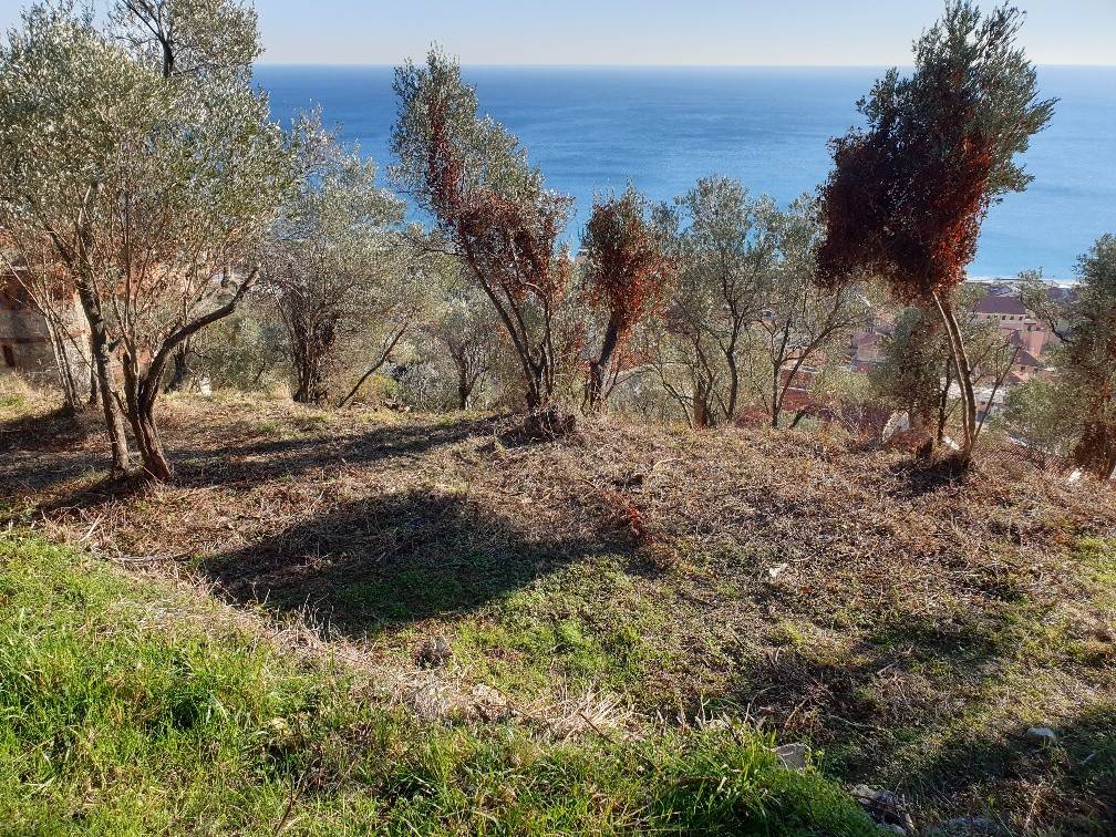 Terreno a Finale ligure in Via del Belvedere - Foto 4