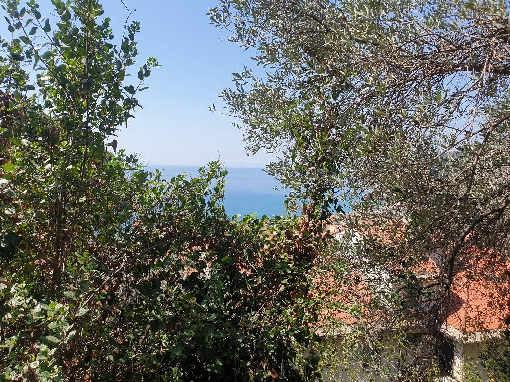 Terreno a Finale ligure in Via dei Forti di Legnino - Foto 3