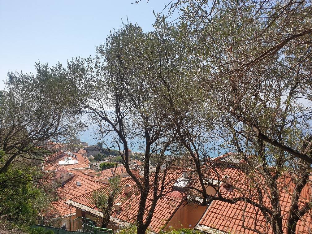 Terreno a Finale ligure in Via dei Forti di Legnino - Foto 5