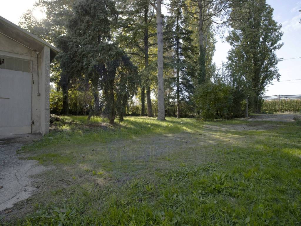 Villa a Bondeno in Via Consorziale, 361 - Foto 5