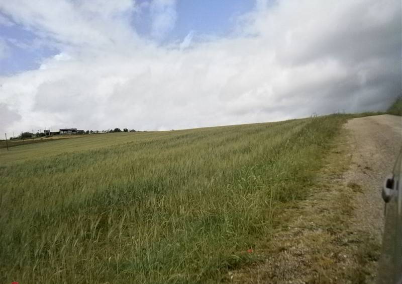 Terreno a Campolattaro in Contrada Mottola - Foto 4