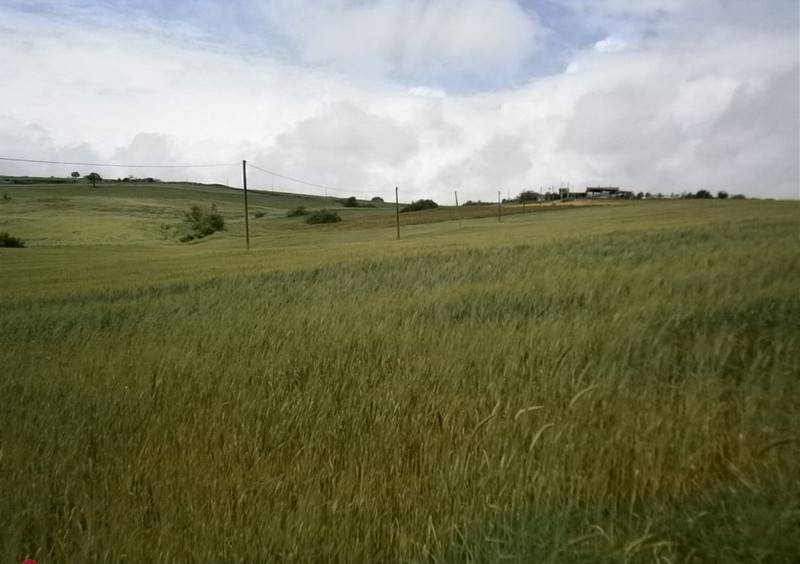 Terreno a Campolattaro in Contrada Mottola - Foto 5