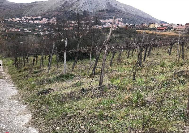 Terreno a Foglianise in Foglianise - Foto 4