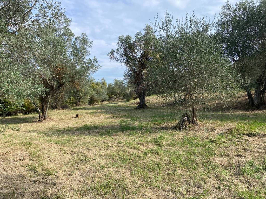 Terreno a Impruneta in Via Baruffi, 11 - Foto 4