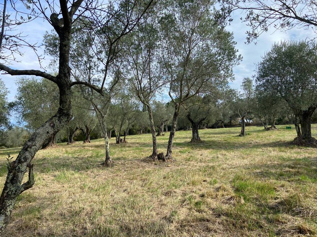 Terreno a Impruneta in Via Baruffi, 11 - Foto 5
