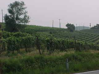 Terreno a Canelli in Strada Dota - Foto 2