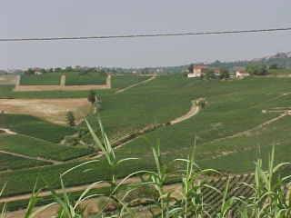 Terreno a Canelli in Strada Dota - Foto 3