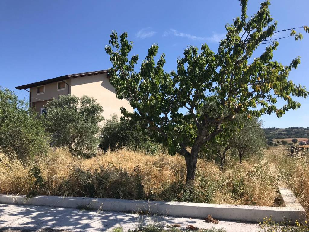 Casa indipendente a Pietrelcina in Pietrelcina - Foto 2