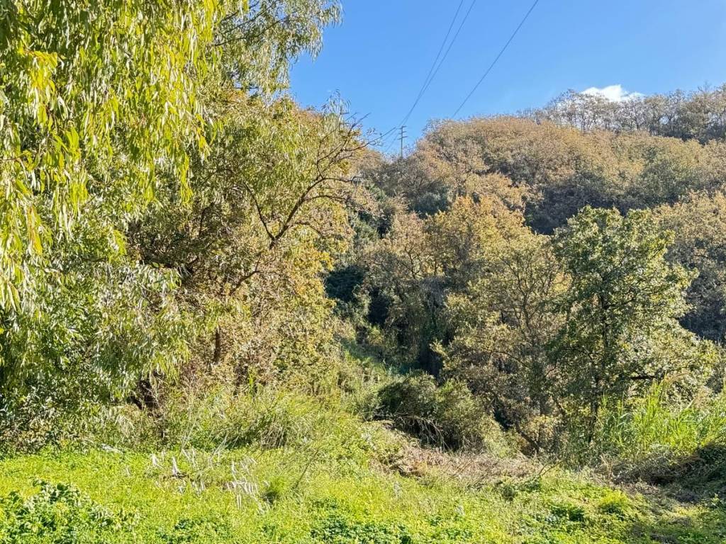 Terreno a Falconara albanese in Largo Italia - Foto 2