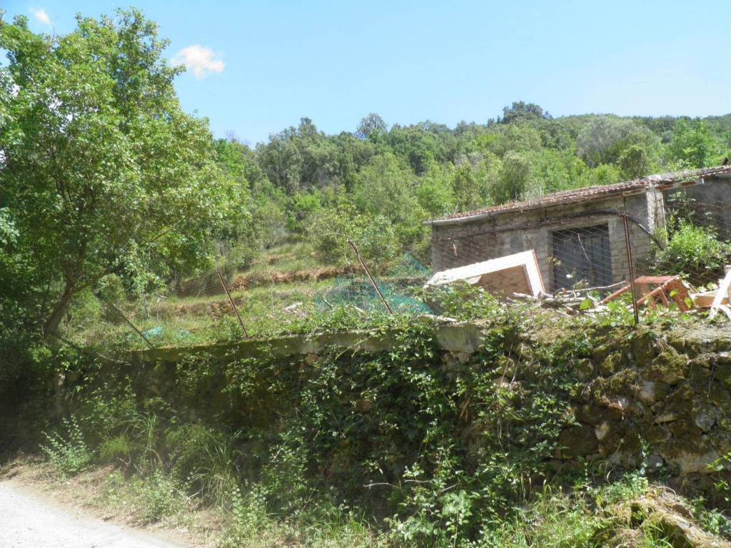 Rustico / casale a Monte argentario in Località Cannatelli - Foto 3
