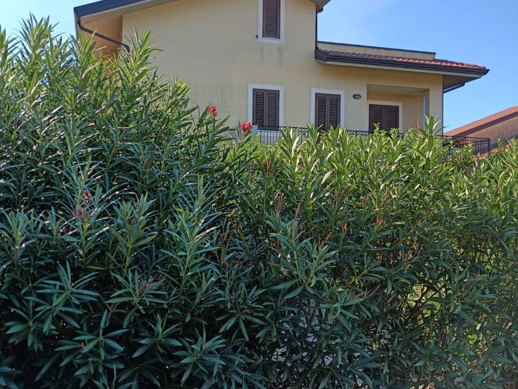 Attico / mansarda a Valverde in Via Morgioni Traversa A - Foto 5