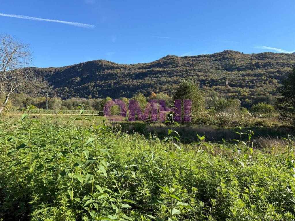Terreno a Cuveglio in Via Aldo Moro snc - Foto 5