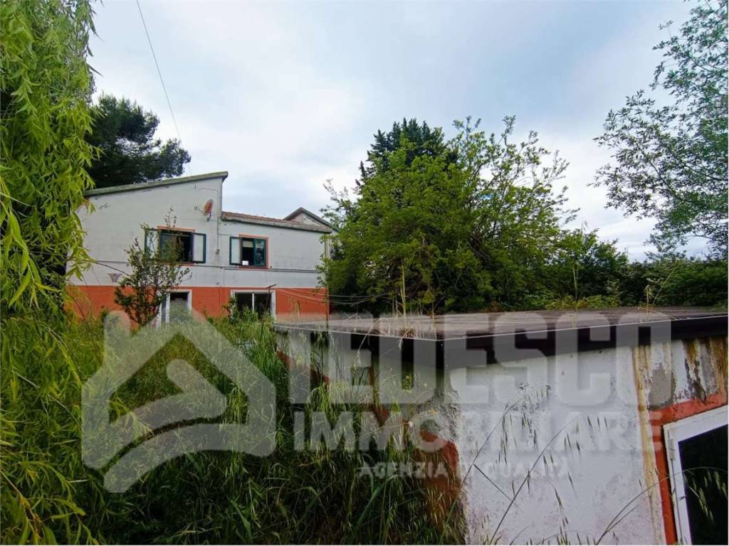 Casa indipendente a Buonalbergo in SS 90 Bis - Foto 2