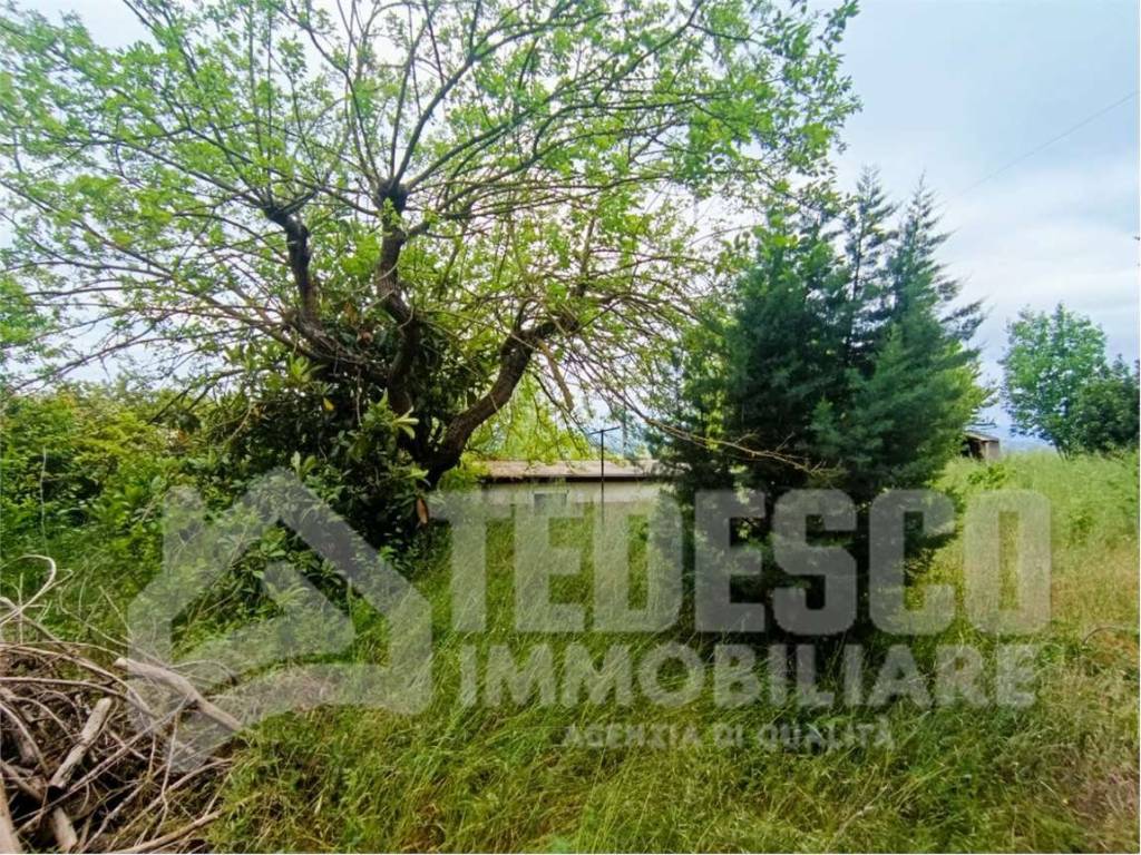 Casa indipendente a Buonalbergo in SS 90 Bis - Foto 4