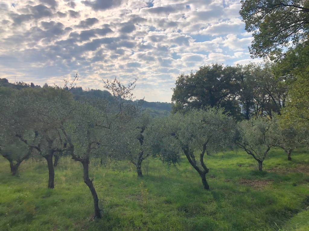 Terreno a Magione in Strada Vicinale della Villa - Foto 3