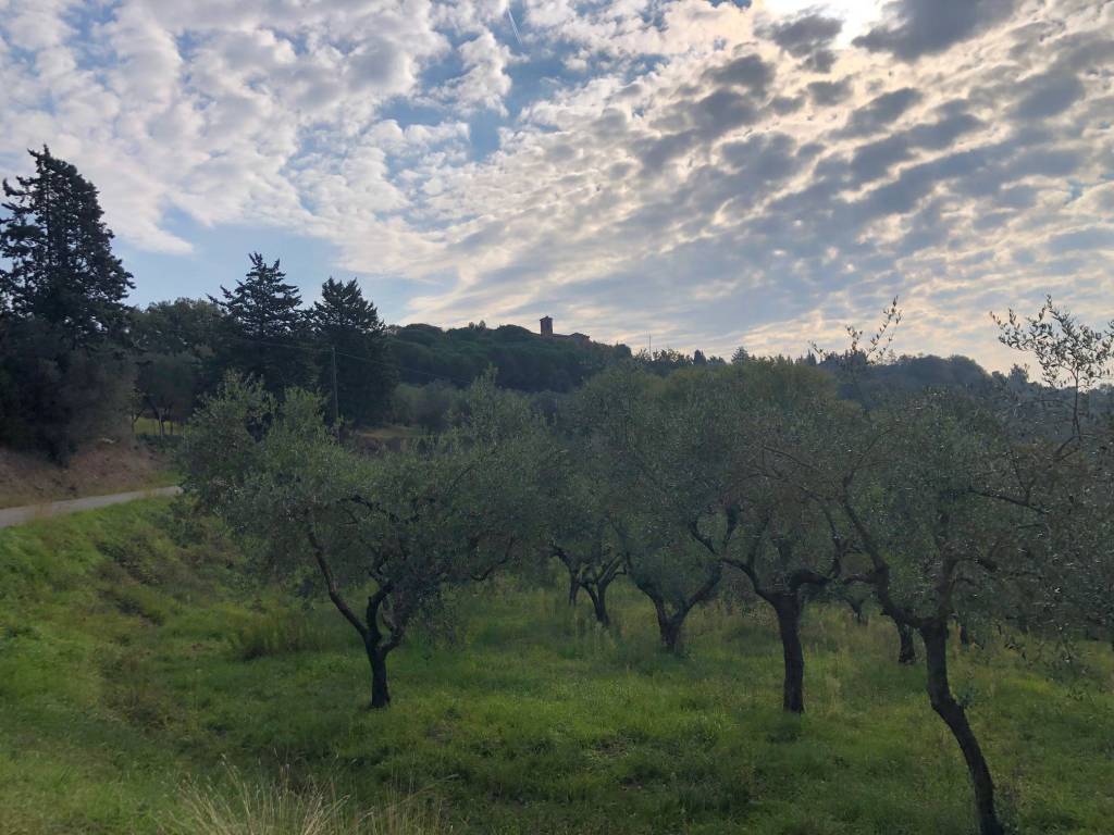 Terreno a Magione in Strada Vicinale della Villa - Foto 4